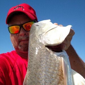 Meet your Posher, Jay